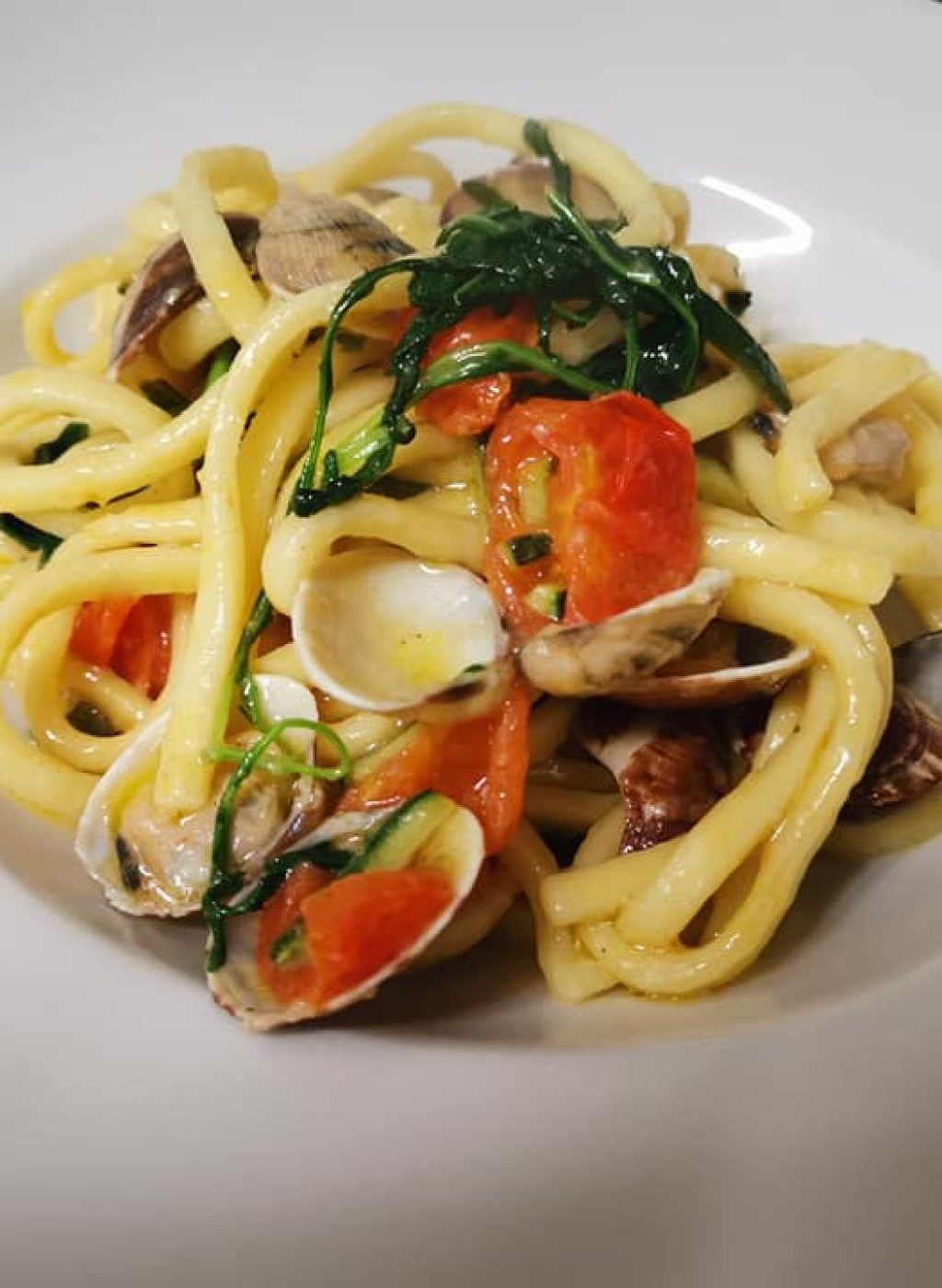 56496336_1220414511467727_2292046131149930496_n