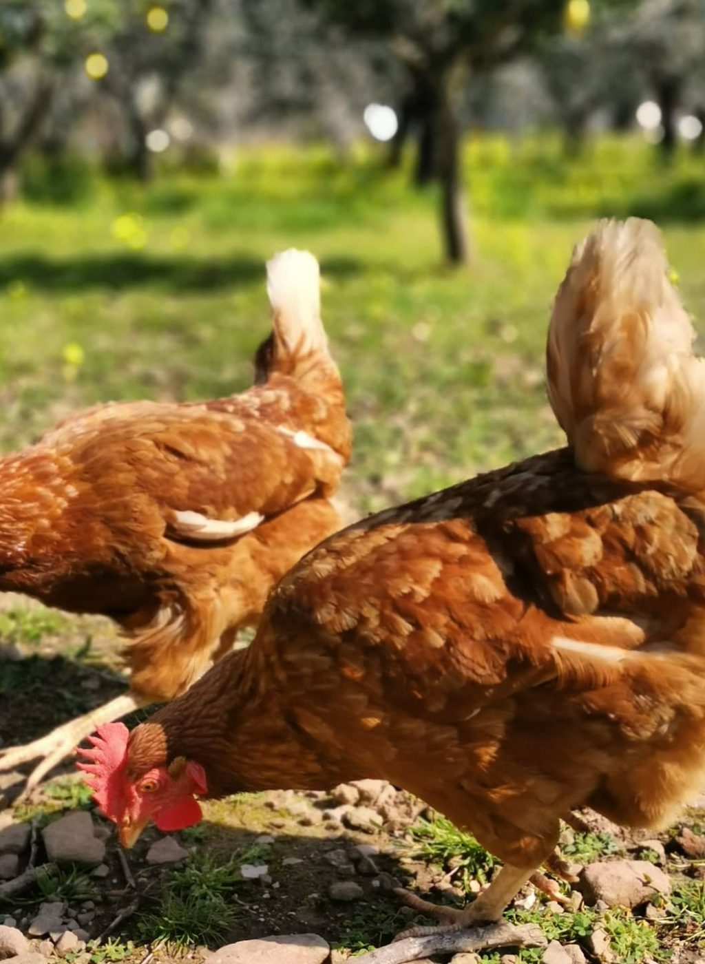 IMG_20210305_102245_317