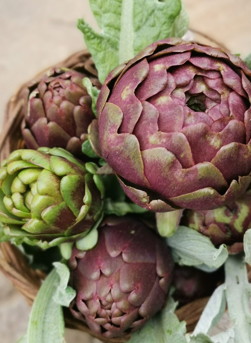 IMG_20210313_095010_826